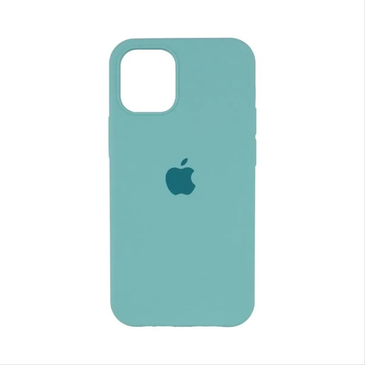 Iphone 11 Pro case Mint *