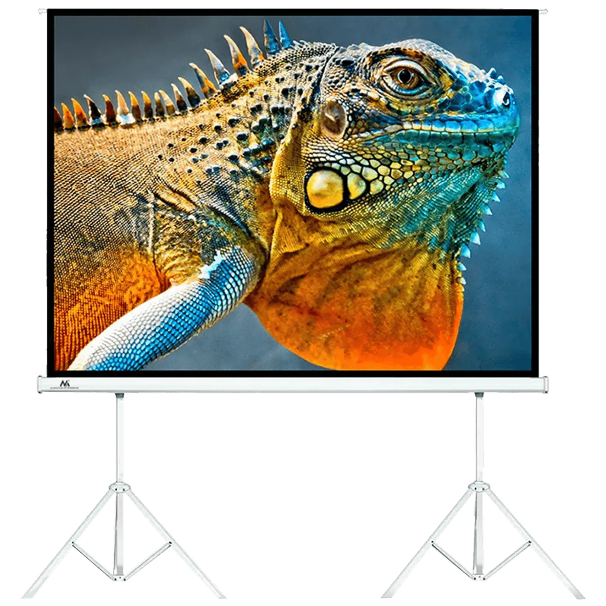 Maclean Platno za projektor sa stalkom, 300 x 225 cm - MC-712