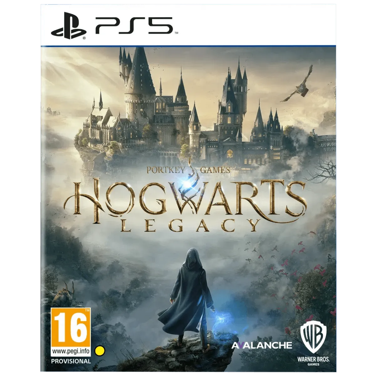 Warner Bros Igra PlayStaion 5: Hogwarts Legacy - Hogwarts Legacy PS5