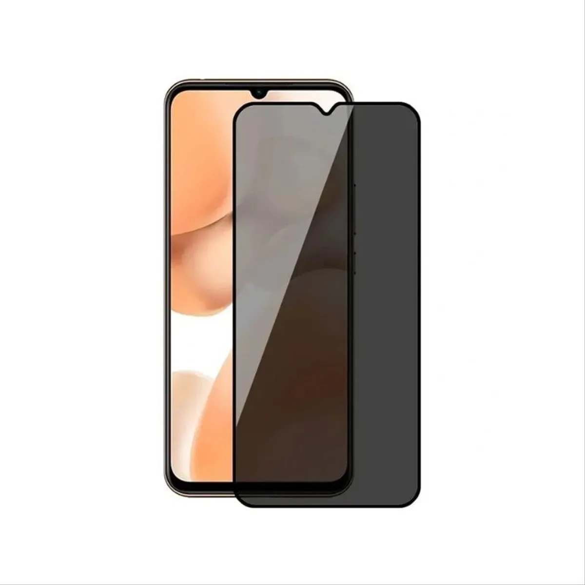 Zastitno staklo Samsung S24 Ultra PRIVACY